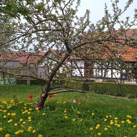 Pension Toepferhof Bad Berka Buitenkant foto