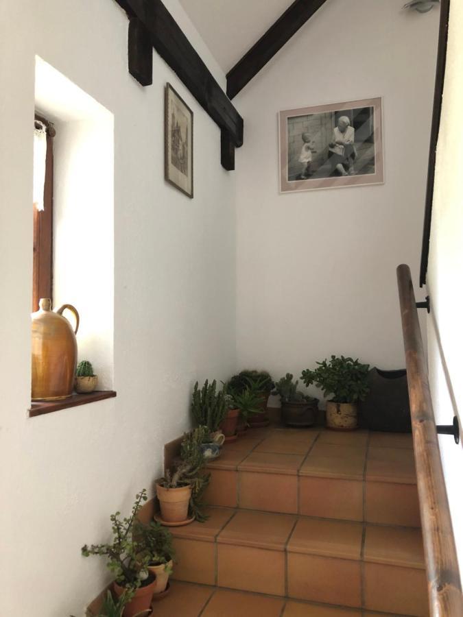 Pension Toepferhof Bad Berka Buitenkant foto